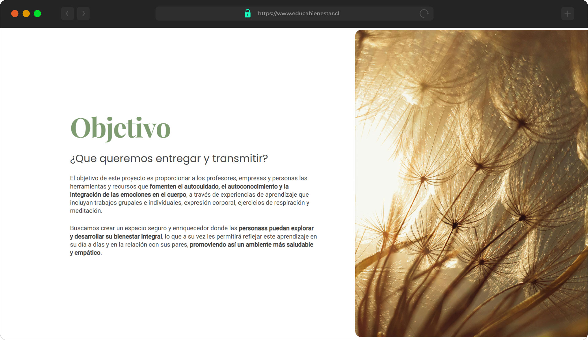 educa-screen-04